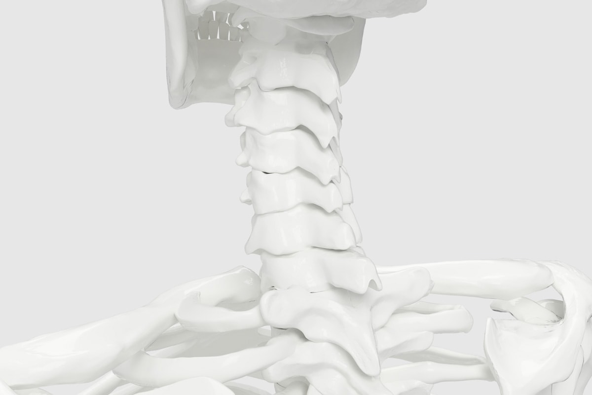 Neurochirurgia