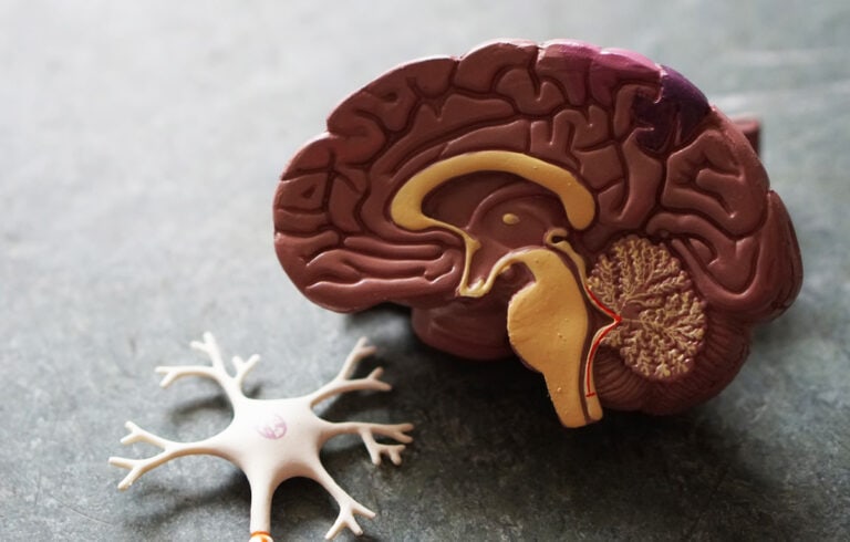 Czym zajmuje się neurolog i co to jest neurologia?